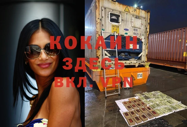дживик Алзамай